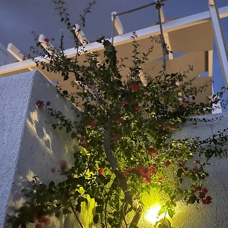 Dm Seaside House Semesterbostad *