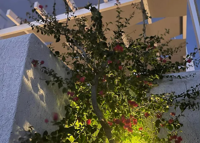 Dm Seaside House Tatil Evi *